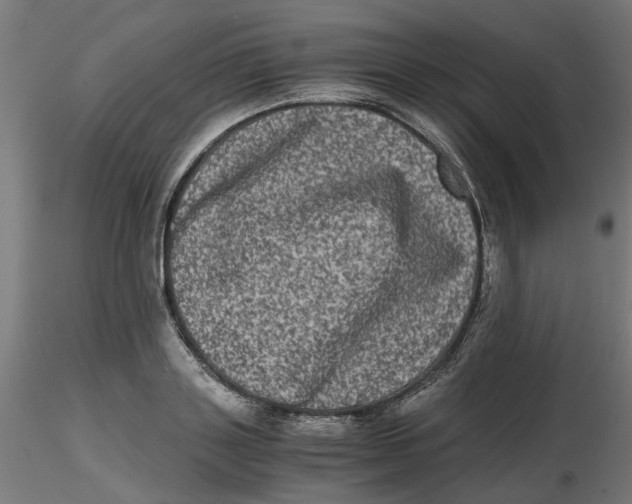 X0000116780843201001071235