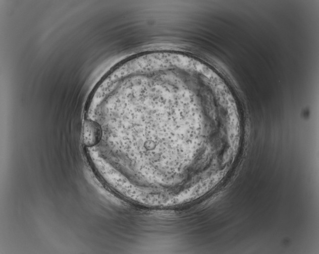 X0000116780844201001071235