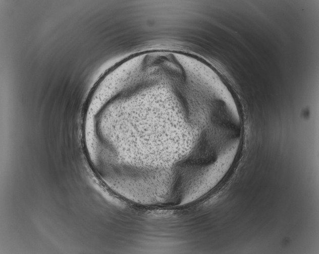 X0000116780846201001071235