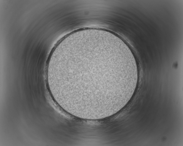 X0000116780848201001071235