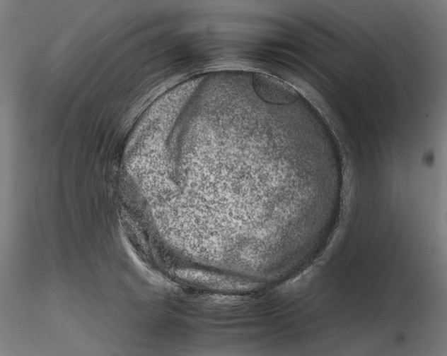 X0000116780849201001071235