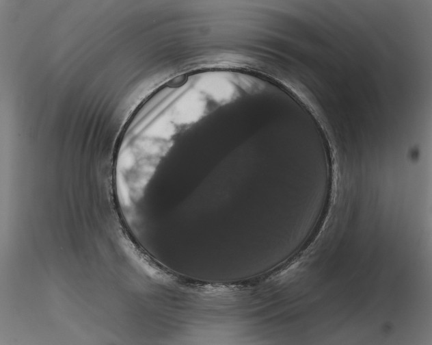 X0000116780850201001071235