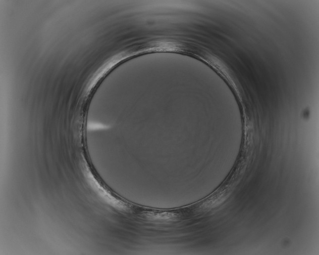 X0000116780851201001071235