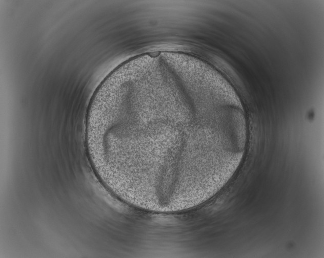 X0000116780852201001071235