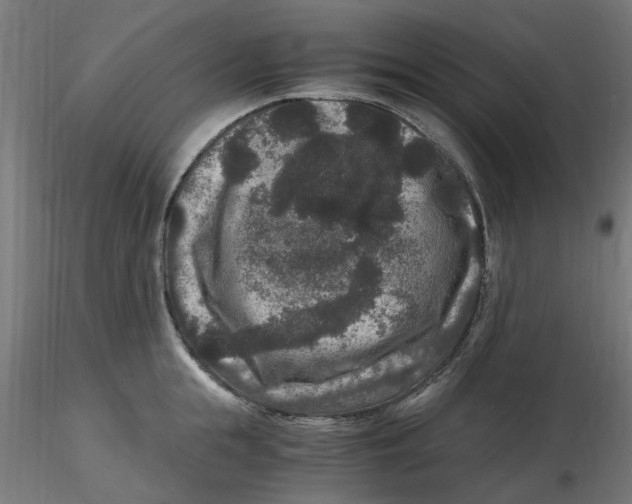 X0000116780855201001071235