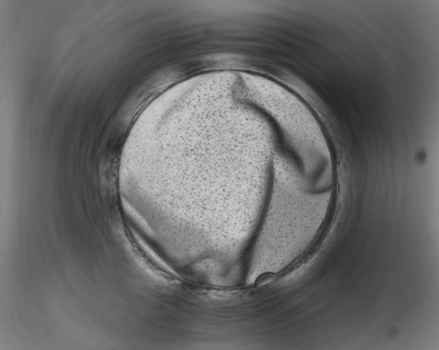 X0000116780857201001071235