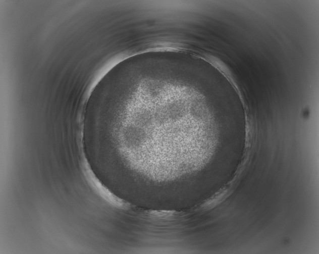 X0000116780859201001071235