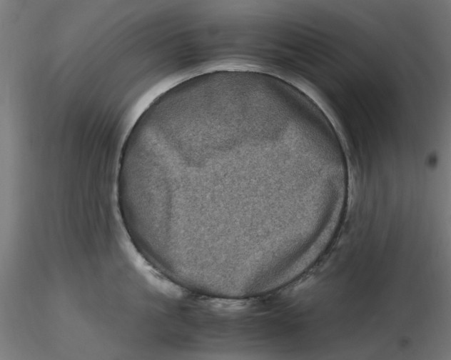 X0000116780861201001071236