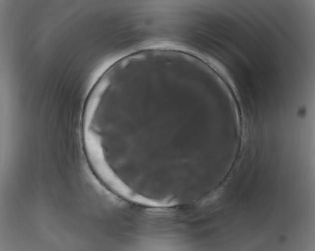 X0000116780863201001071236