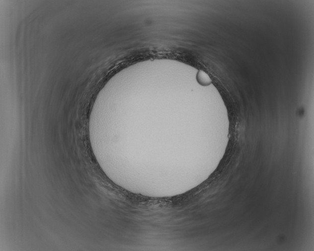 X0000116780865201001071235