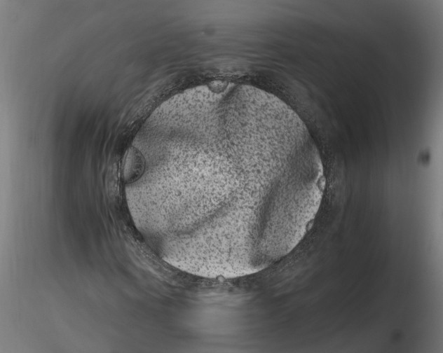 X0000116780866201001071235