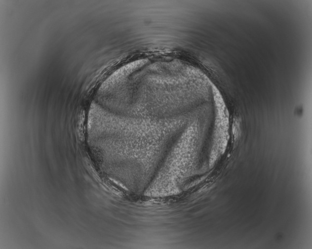 X0000116780867201001071235