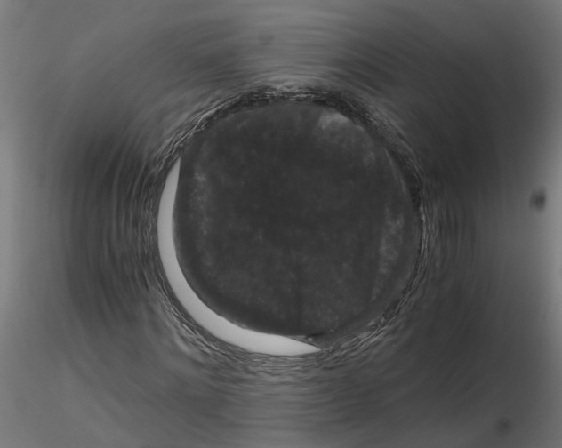 X0000116780868201001071235