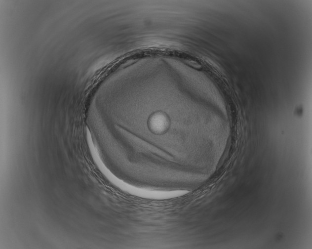 X0000116780869201001071235