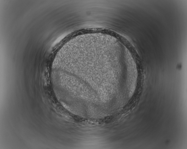 X0000116780871201001071235