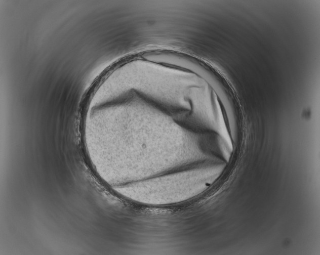 X0000116780878201001071235