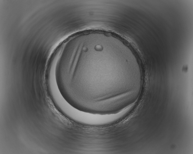 X0000116780880201001071235