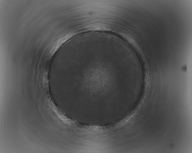 X0000116780881201001071235