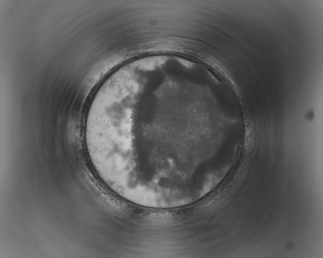 X0000116780882201001071235