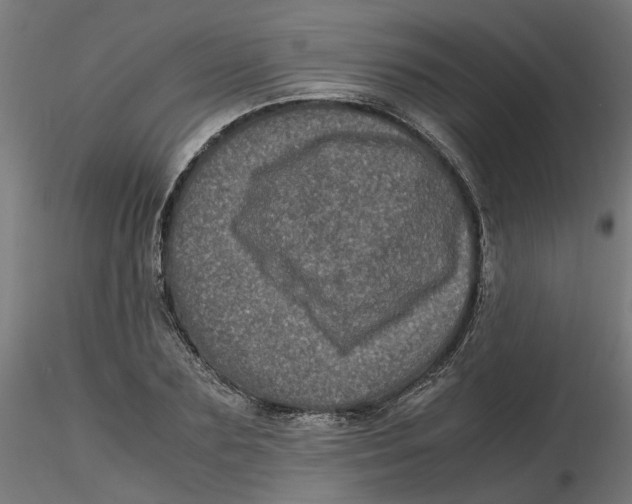 X0000116780883201001071235