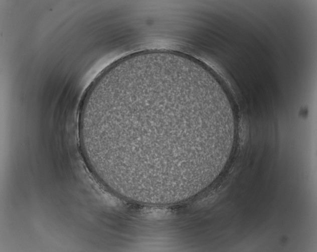 X0000116780886201001071235