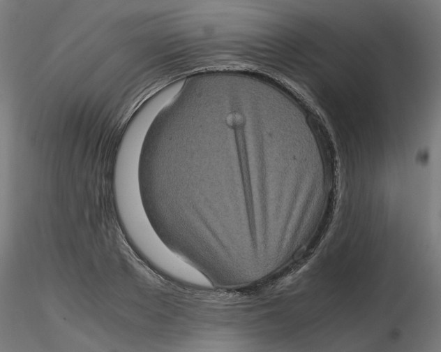 X0000116780889201001071235