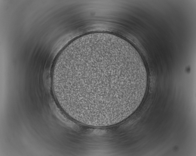 X0000116780890201001071235