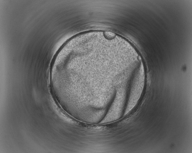 X0000116780891201001071235