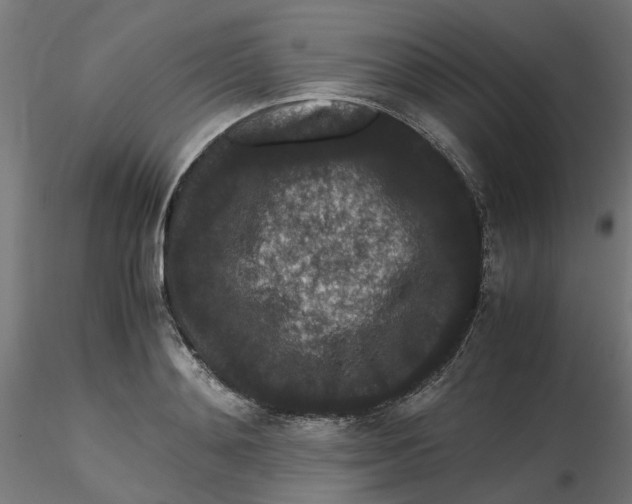 X0000116780892201001071235