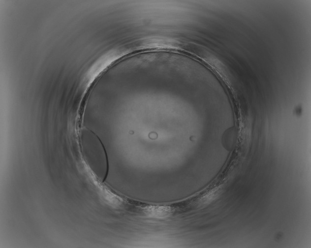 X0000116780893201001071235