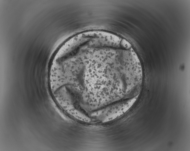 X0000116780894201001071235