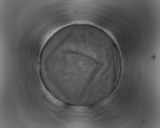 X0000116780895201001071235