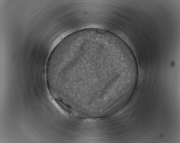 X0000116780898201001071234