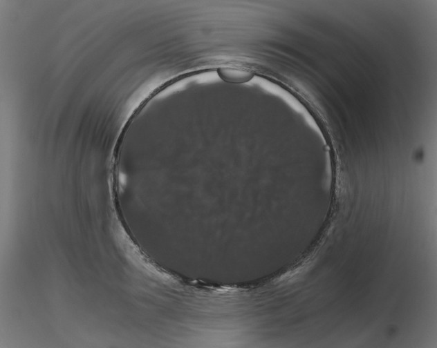 X0000116780899201001071234