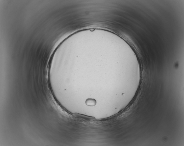 X0000116780900201001071234