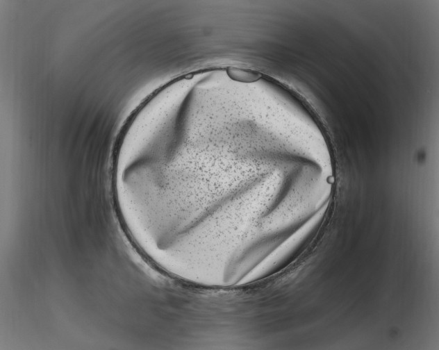 X0000116780902201001071234