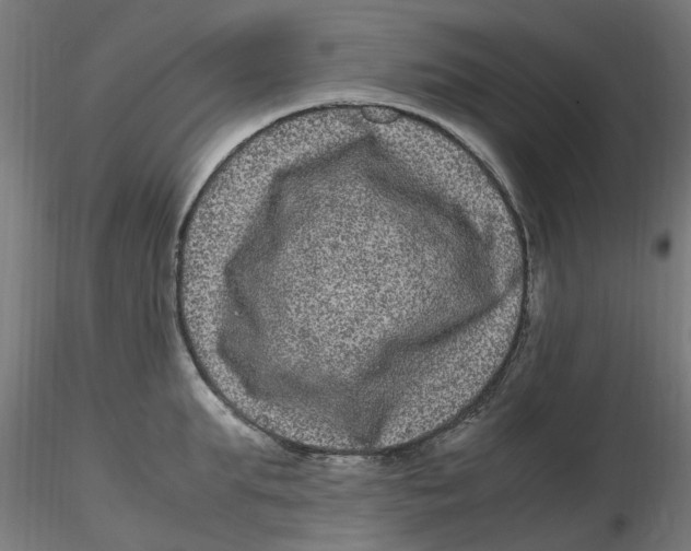 X0000116780903201001071234