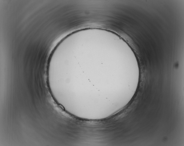 X0000116780904201001071234