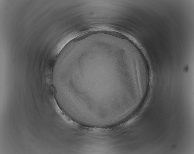 X0000116780905201001071234