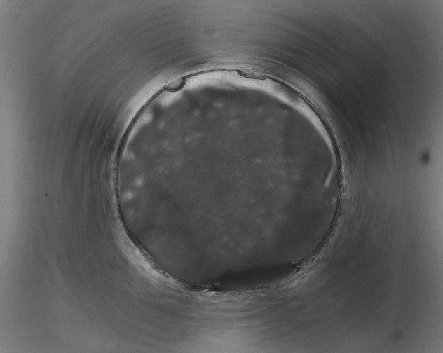 X0000116780907201001071234