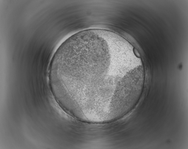 X0000116780908201001071234