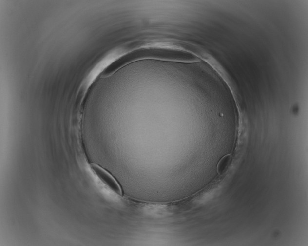 X0000116780909201001071234