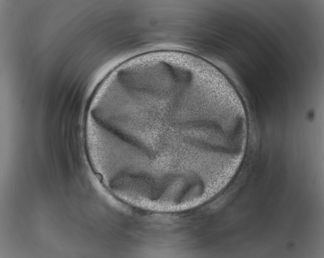 X0000116780910201001071234