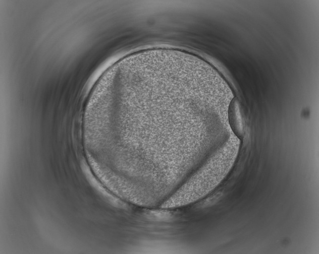 X0000116780911201001071234