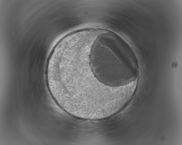 X0000116780912201001071234