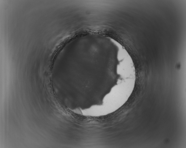 X0000116780913201001071234