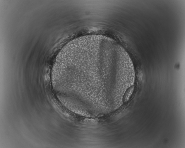 X0000116780914201001071234