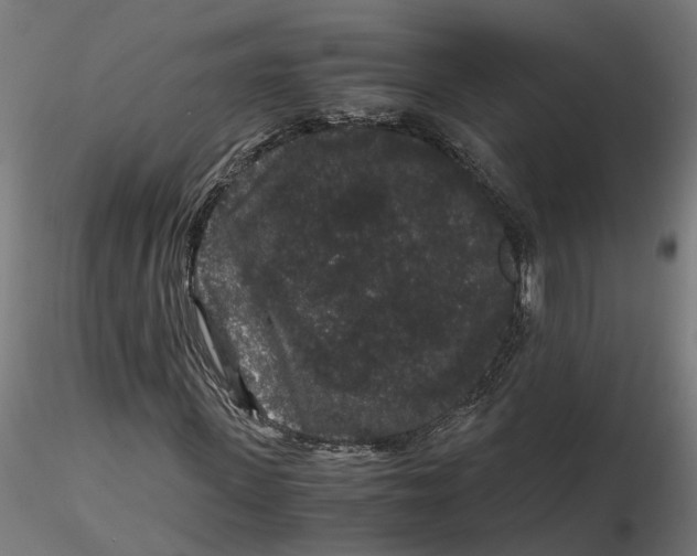 X0000116780915201001071234