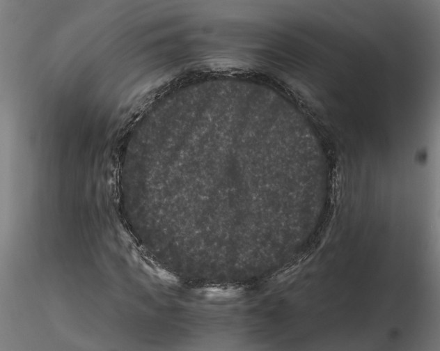 X0000116780917201001071234