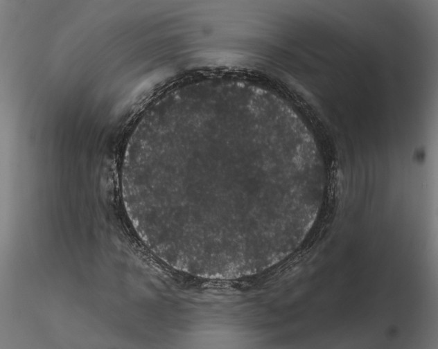 X0000116780918201001071234